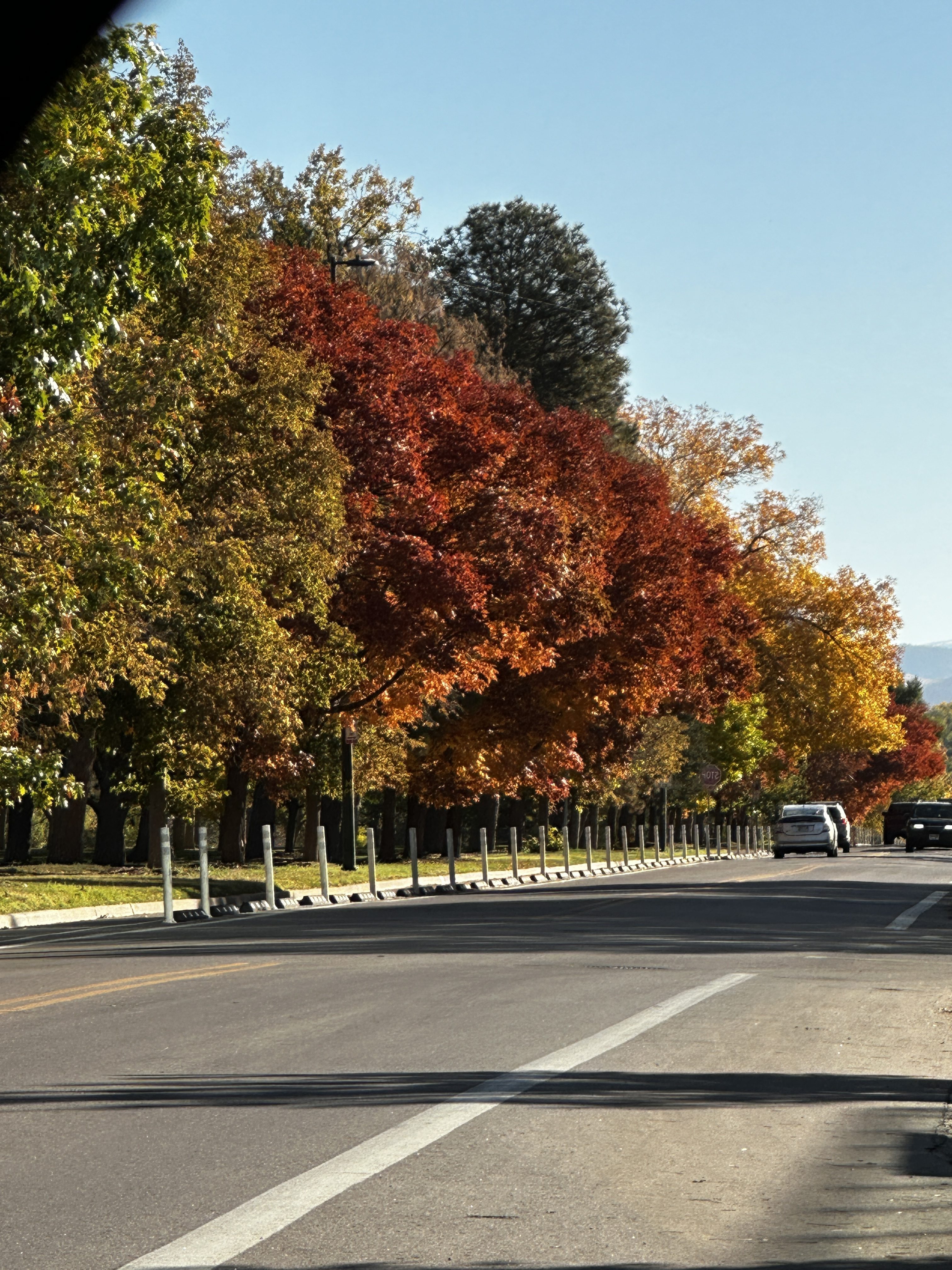 Fall colors along West 17th Avenue in Sloan's Lake, Denver